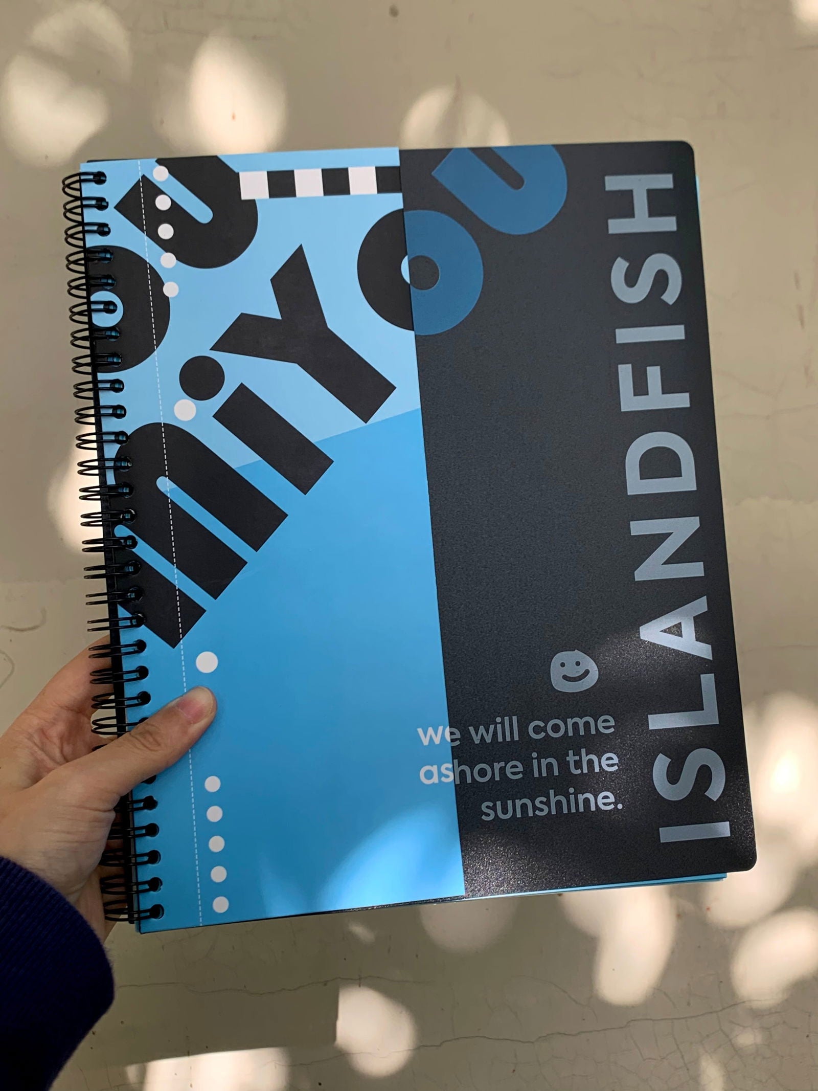 islandfish & miyou · joint timeline planning book - islandfish -  - 